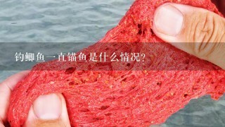 钓鲫鱼1直锚鱼是什么情况?