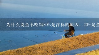 为什么说鱼不吃饵80%是浮标的原因，20%是鱼饵的原因？