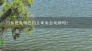 钓鱼把鱼嘴巴钓上来鱼会死掉吗？