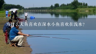 为什么大鱼喜欢在深水小鱼喜欢在浅水？