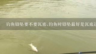 钓鱼铅坠要不要沉底,钓鱼时铅坠最好是沉底还是悬空