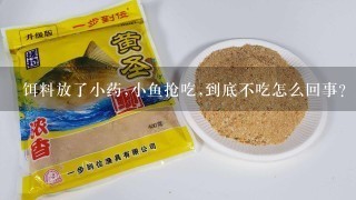 饵料放了小药,小鱼抢吃,到底不吃怎么回事？