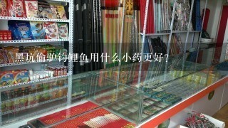 黑坑偷驴钓鲤鱼用什么小药更好？