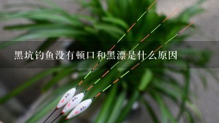 黑坑钓鱼没有顿口和黑漂是什么原因