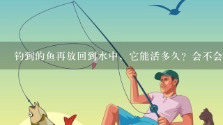 钓到的鱼再放回到水中，它能活多久？会不会死？