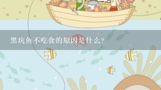 黑坑鱼不吃食的原因是什么？