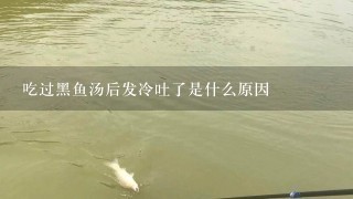 吃过黑鱼汤后发冷吐了是什么原因