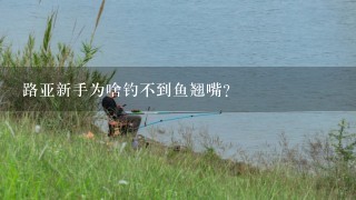 路亚新手为啥钓不到鱼翘嘴？