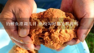 钓鲤鱼漂调几目,鱼咬勾时都是黑漂吗