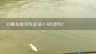 钓鲫鱼能用吃铅量4.8的漂吗？