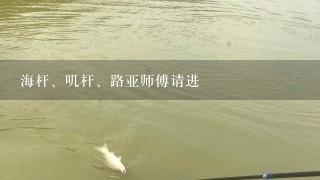 海杆、叽杆、路亚师傅请进