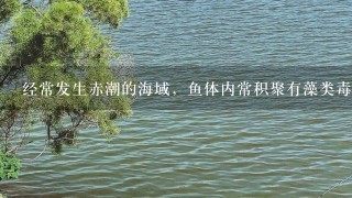 经常发生赤潮的海域，鱼体内常积聚有藻类毒素。研究发现，鱼体越大，毒素的浓度越高，为什么？