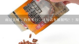 雨过天晴，钓鱼不行，这句话有根据吗？？原因是什么，那位大虾解释下？？