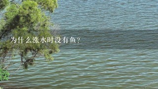 为什么涨水时没有鱼?