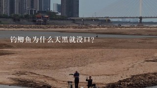 钓鲫鱼为什么天黑就没口？