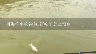 用海竿串钩钓鱼,饵吃了怎么没鱼