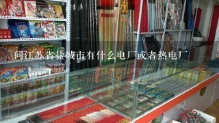 问江苏省盐城市有什么电厂或者热电厂