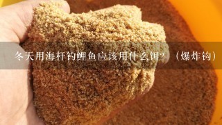 冬天用海杆钓鲤鱼应该用什么饵？（爆炸钩）