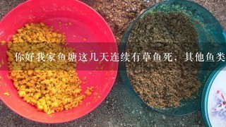 你好我家鱼塘这几天连续有草鱼死，其他鱼类没有死，