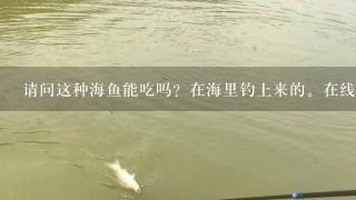 请问这种海鱼能吃吗？在海里钓上来的。在线等急？