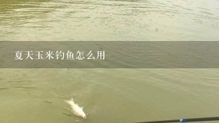 夏天玉米钓鱼怎么用