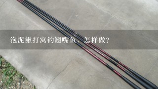 泡泥鳅打窝钓翘嘴鱼. 怎样做？