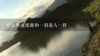 什么鱼速度能和1眉道人1样