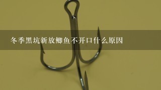 冬季黑坑新放鲫鱼不开口什么原因