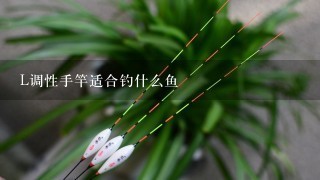 L调性手竿适合钓什么鱼