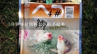 3分钟虾拉饵料怎么拉不起来