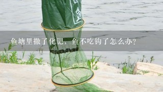 鱼塘里撒了化肥，鱼不吃钩了怎么办？