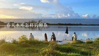 春天水库怎样钓鲤鱼