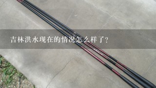 吉林洪水现在的情况怎么样了？