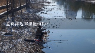 盘锦海边哪里能海钓？