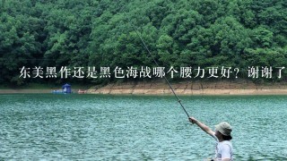 东美黑作还是黑色海战哪个腰力更好？谢谢了，大神帮忙啊