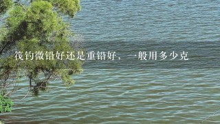 筏钓微铅好还是重铅好，1般用多少克