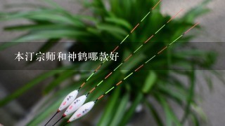 本汀宗师和神鹤哪款好