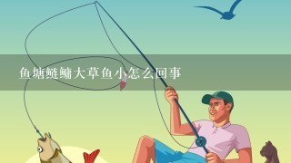 鱼塘鲢鳙大草鱼小怎么回事