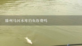 滕州马河水库钓鱼收费吗