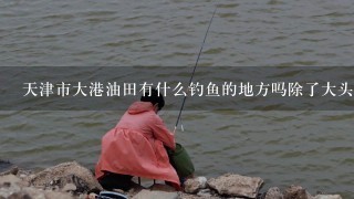 天津市大港油田有什么钓鱼的地方吗除了大头鱼钓 别的鱼的地方。谢谢