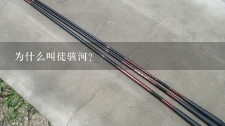 为什么叫徒骇河？