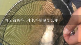 穿云箭鱼竿13米长竿质量怎么样