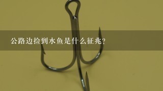 公路边捡到水鱼是什么征兆？