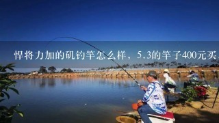 悍将力加的矶钓竿怎么样，5.3的竿子400元买，合适不?明白的大师给点意见。