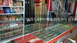 在水库垂钓，迪佳5.4黑纹鲤能挡住10斤上下的鱼的冲