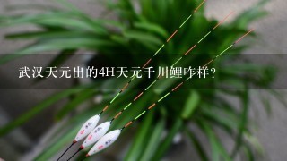 武汉天元出的4H天元千川鲤咋样？