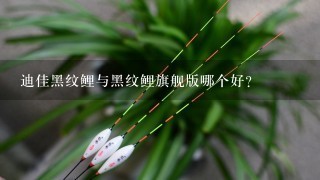 迪佳黑纹鲤与黑纹鲤旗舰版哪个好？