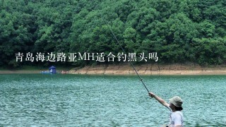 青岛海边路亚MH适合钓黑头吗