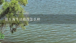 狼王海竿站狼投怎么样