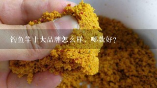 钓鱼竿十大品牌怎么样，哪款好？